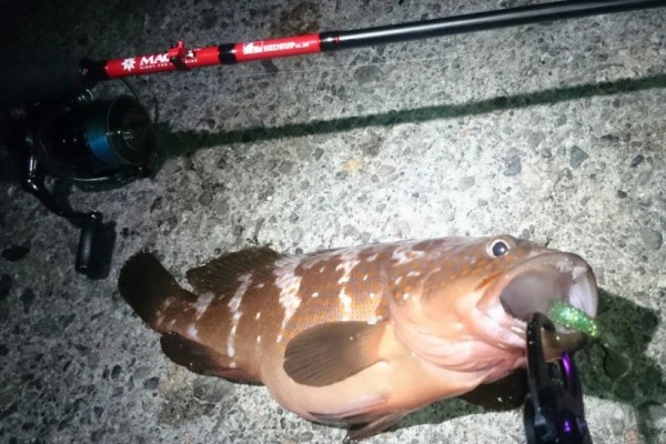 hideup 久次米良信 ブログ写真 2018/09/01