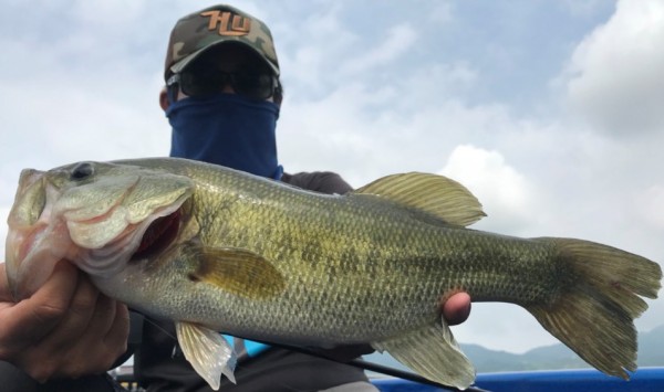 hideup 久次米良信 ブログ写真 2018/09/03