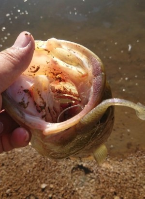 hideup 久次米良信 ブログ写真 2018/09/04