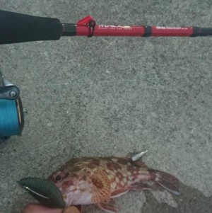 hideup 久次米良信 ブログ写真 2018/09/05