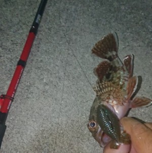 hideup 久次米良信 ブログ写真 2018/09/05