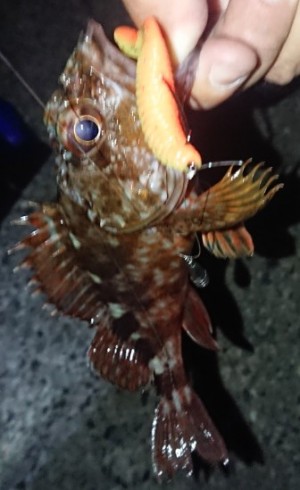 hideup 久次米良信 ブログ写真 2018/09/12