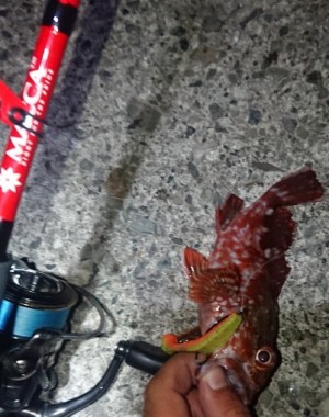 hideup 久次米良信 ブログ写真 2018/09/12