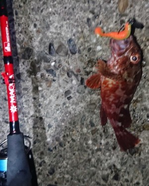 hideup 久次米良信 ブログ写真 2018/09/12