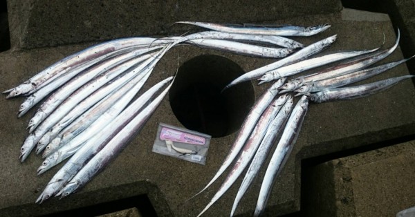 hideup 久次米良信 ブログ写真 2018/09/13