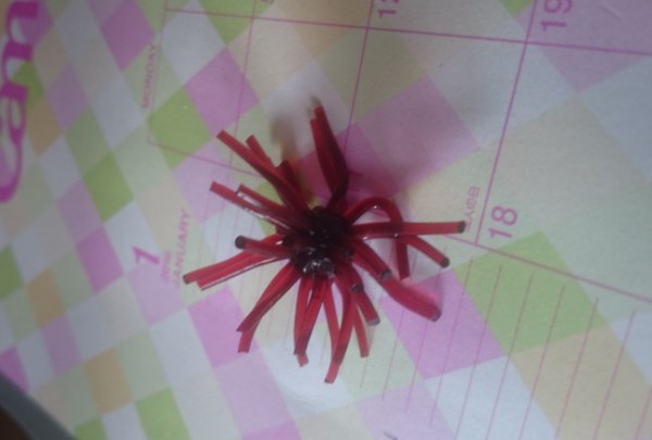 hideup 久次米良信 ブログ写真 2018/09/14