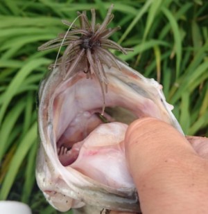 hideup 久次米良信 ブログ写真 2018/09/14