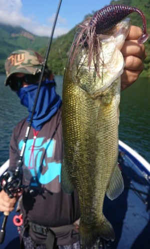 hideup 久次米良信 ブログ写真 2018/09/17