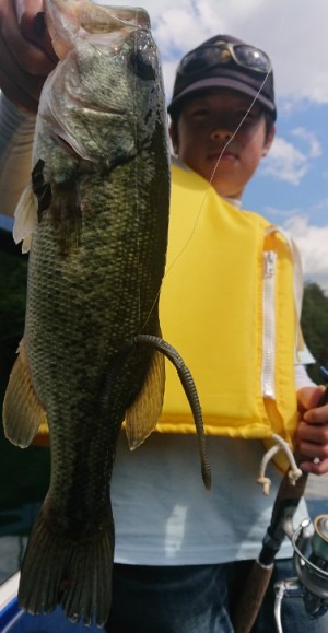 hideup 久次米良信 ブログ写真 2018/09/17