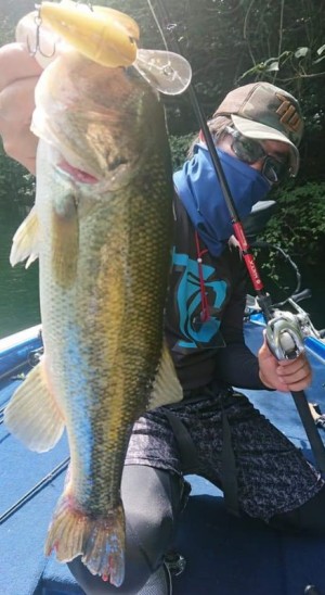 hideup 久次米良信 ブログ写真 2018/09/17