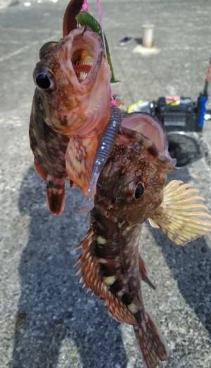 hideup 久次米良信 ブログ写真 2018/09/18