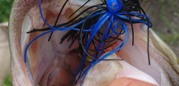 hideup 久次米良信 ブログ写真 2018/09/19