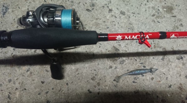 hideup 久次米良信 ブログ写真 2018/09/21