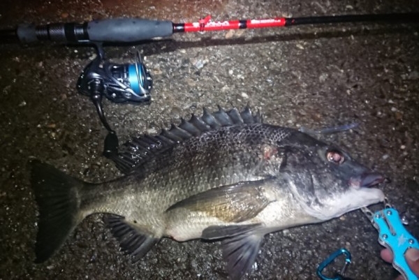 hideup 久次米良信 ブログ写真 2018/09/21