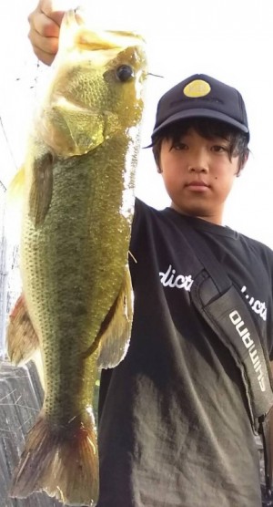 hideup 久次米良信 ブログ写真 2018/10/02