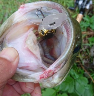 hideup 久次米良信 ブログ写真 2018/10/02