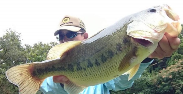 hideup 久次米良信 ブログ写真 2018/10/02