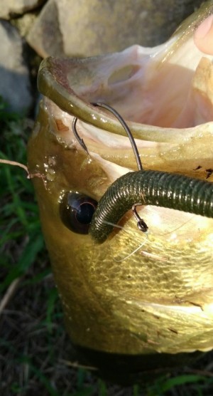 hideup 久次米良信 ブログ写真 2018/10/02