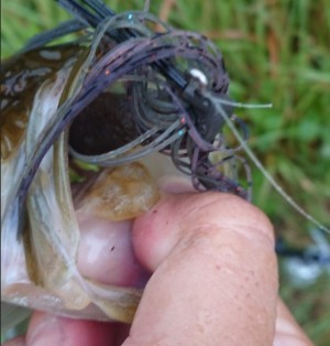 hideup 久次米良信 ブログ写真 2018/10/03