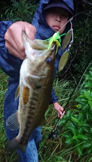 hideup 久次米良信 ブログ写真 2018/10/03