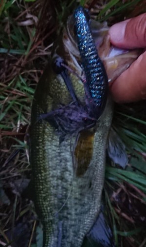 hideup 久次米良信 ブログ写真 2018/10/03