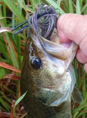 hideup 久次米良信 ブログ写真 2018/10/03