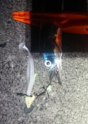 hideup 久次米良信 ブログ写真 2018/10/04