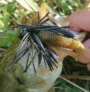 hideup 久次米良信 ブログ写真 2018/10/08