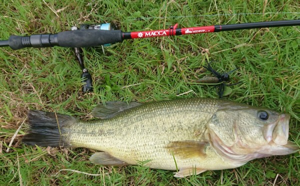 hideup 久次米良信 ブログ写真 2018/10/08