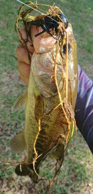 hideup 久次米良信 ブログ写真 2018/10/08