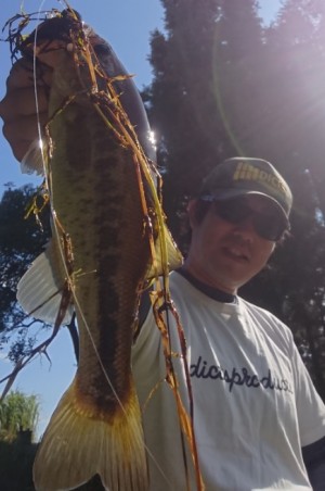 hideup 久次米良信 ブログ写真 2018/10/08