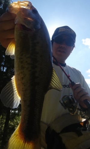 hideup 久次米良信 ブログ写真 2018/10/08