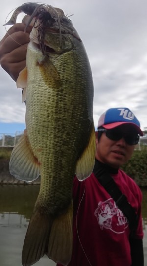 hideup 久次米良信 ブログ写真 2018/10/09