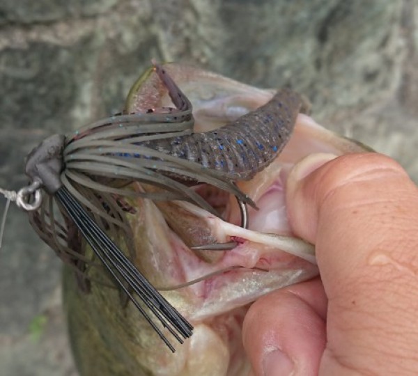 hideup 久次米良信 ブログ写真 2018/10/09