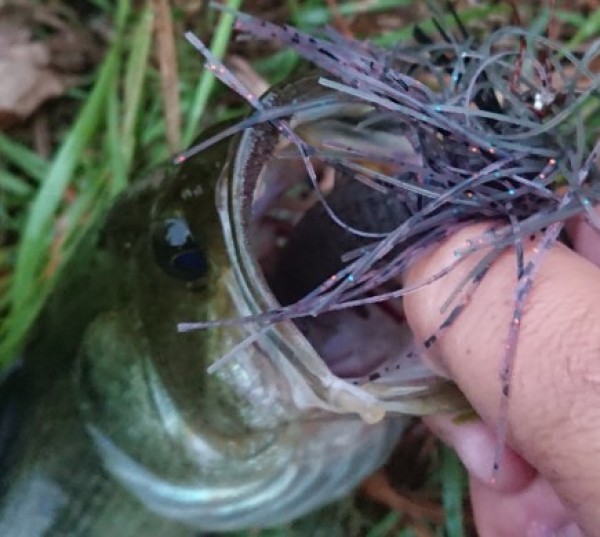 hideup 久次米良信 ブログ写真 2018/10/11