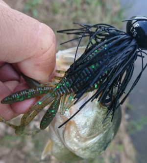 hideup 久次米良信 ブログ写真 2018/10/16