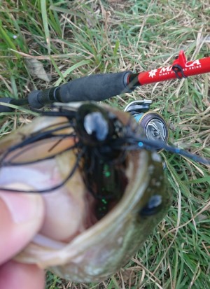 hideup 久次米良信 ブログ写真 2018/10/16