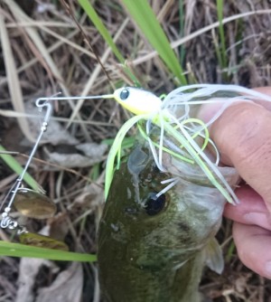 hideup 久次米良信 ブログ写真 2018/10/16