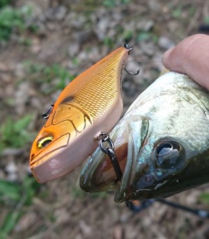 hideup 久次米良信 ブログ写真 2018/10/16