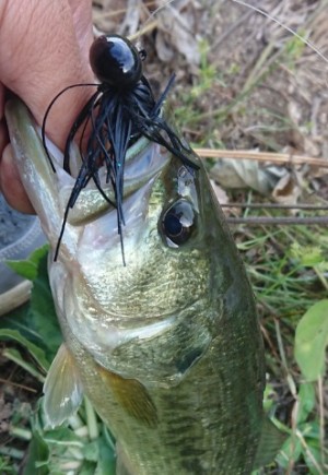 hideup 久次米良信 ブログ写真 2018/10/16