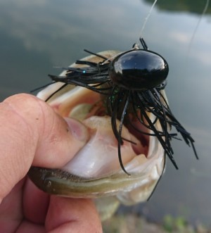 hideup 久次米良信 ブログ写真 2018/10/16