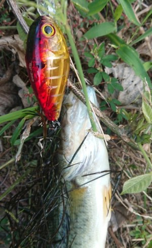 hideup 久次米良信 ブログ写真 2018/10/16