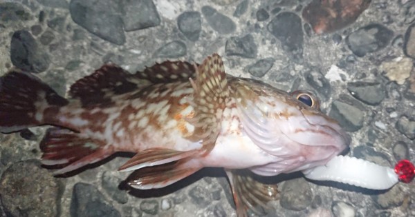 hideup 久次米良信 ブログ写真 2018/10/17