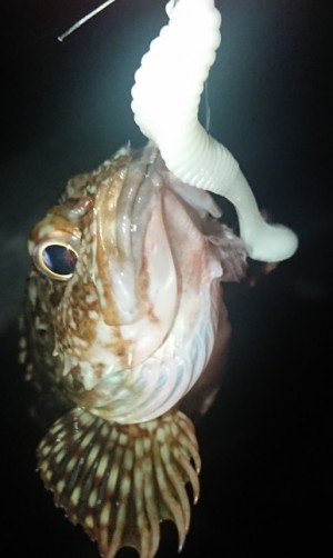 hideup 久次米良信 ブログ写真 2018/10/17