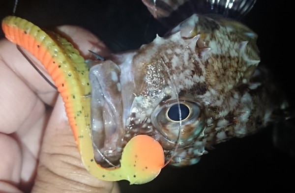 hideup 久次米良信 ブログ写真 2018/10/17