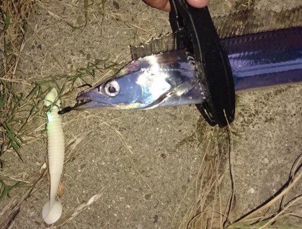 hideup 久次米良信 ブログ写真 2018/10/18