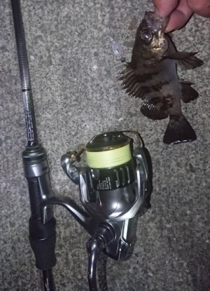 hideup 久次米良信 ブログ写真 2018/11/02