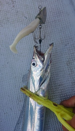 hideup 久次米良信 ブログ写真 2018/11/05