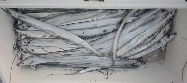 hideup 久次米良信 ブログ写真 2018/11/05