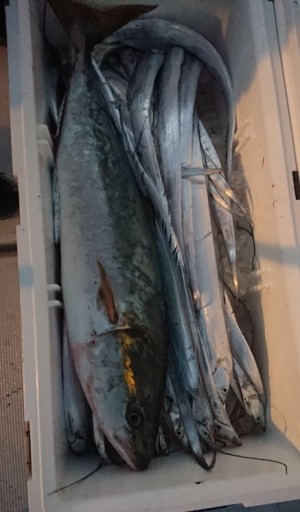 hideup 久次米良信 ブログ写真 2018/11/05